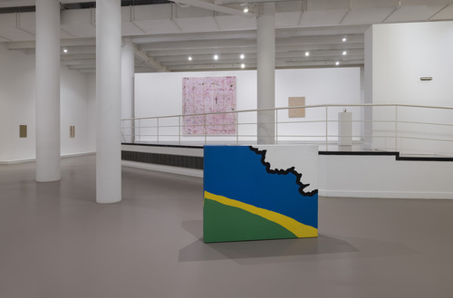 Friends in a Field: Conversations with Raoul De Keyser - Installation view