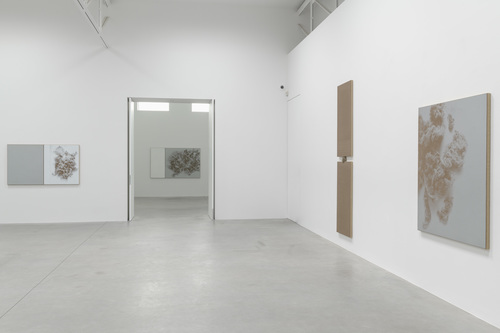 N. Dash - Installation view