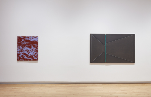 N. Dash - Installation view