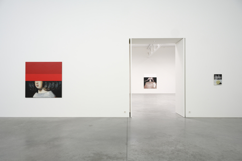 Bleeding Heart - Mircea Suciu - Installation view