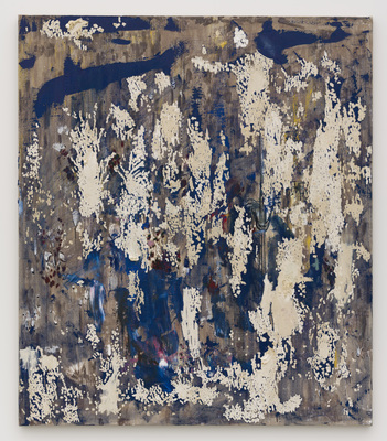 Madrigal - Marina Rheingantz - Shark Attack