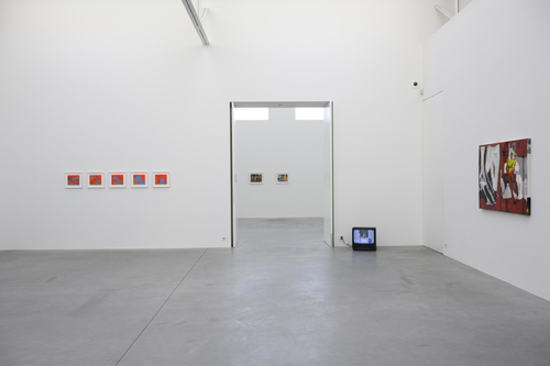 Placenta Saturnine Bercail - Installation view