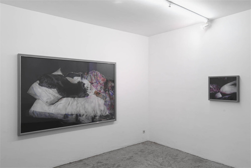 Ein ganz fremder Nackter - Johannes Kahrs - Installation view
