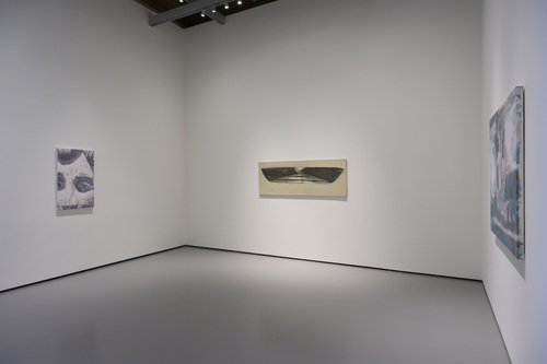 La Pelle - Installation view
