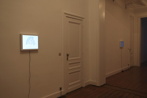 low fixed media show - Installation view