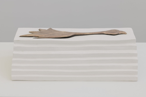 Silent Dance - Grace Schwindt - Bird with Stretched Neck