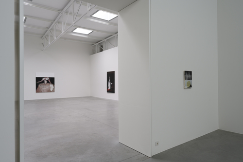 Bleeding Heart - Mircea Suciu - Installation view