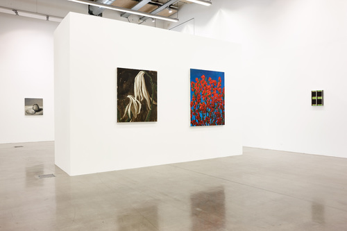 Pots, lapin, fenêtres, fleurs - Installation view