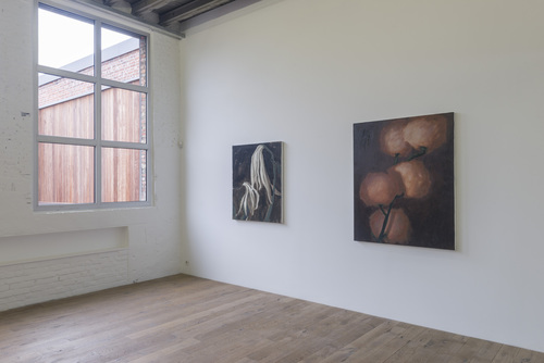 Opening New Space - Installation view