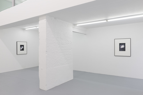 Twice - Installation view