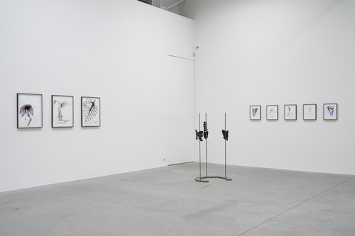 Lacuna - Grace Schwindt - Installation view