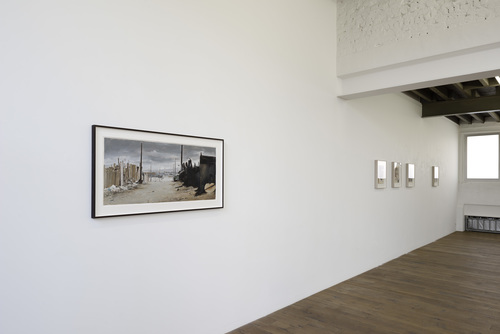 Domesticated - Jan De Maesschalck - 