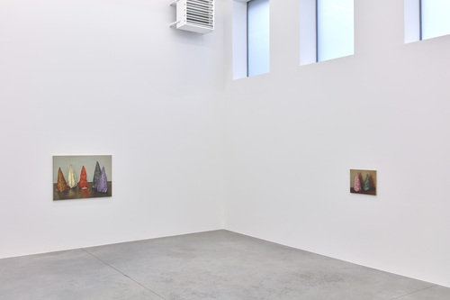 Coloured Cones - Michaël Borremans - Installation view