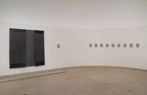 N. Dash - Installation view