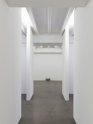 F.E.S.T.A. - Installation view
