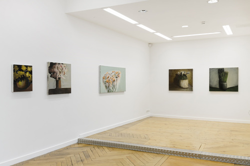 Pots, lapin, fenêtres, fleurs - Installation view