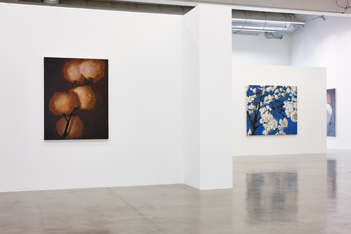 Pots, lapin, fenêtres, fleurs - Installation view