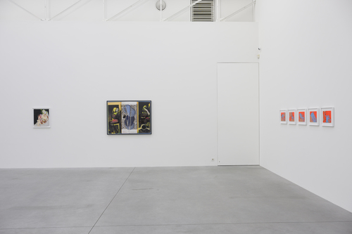 Placenta Saturnine Bercail - Installation view