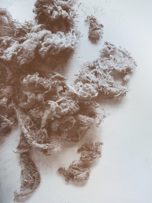 ZENO X GALLERY - N. Dash - N. Dash