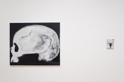 Measuring Your Own Grave - Installation view