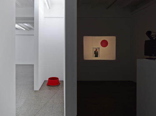 F.E.S.T.A. - Installation view