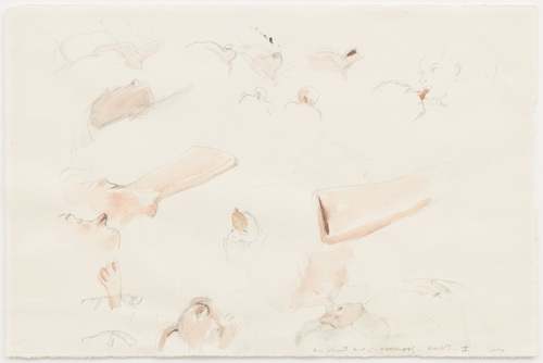 Works on Paper I - Noses I + II