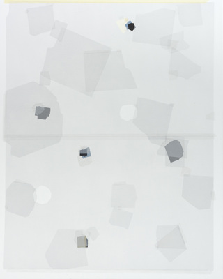 Walled Garden - Mouches Volantes