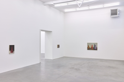 Coloured Cones - Michaël Borremans - Installation view
