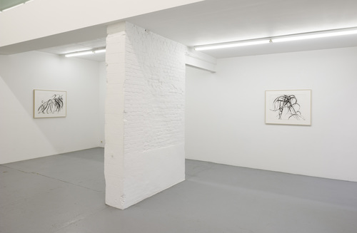 Dirk Braeckman, Susan Hartnett, Jockum Nordström, Jack Whitten - Installation view