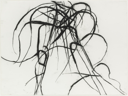 Susan Hartnett - Susan Hartnett - Oct. 18 2011 #2, Blue-joint grass (calamagrostis canadensis)