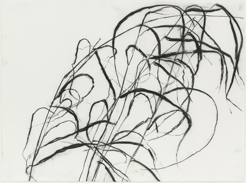 Susan Hartnett - Oct. 11 2011 #2, Blue-joint grass (Calamagrostis canadensis)