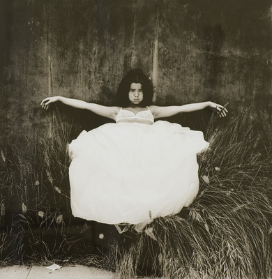 25 years Zeno X Gallery - Björk, Los Angeles