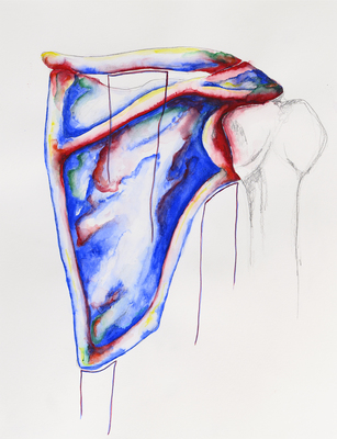 Lacuna - Grace Schwindt - Right Shoulder Blade