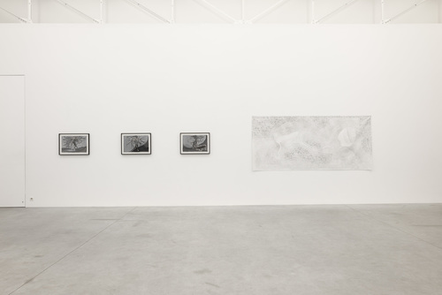 Walgrove - Kim Jones - 