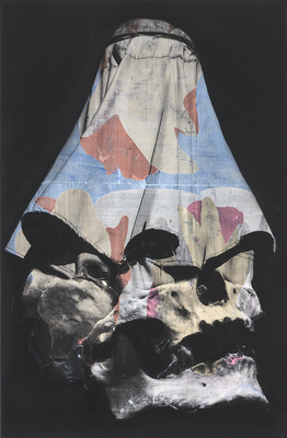 Mircea Suciu - A Beauty Supreme (1)