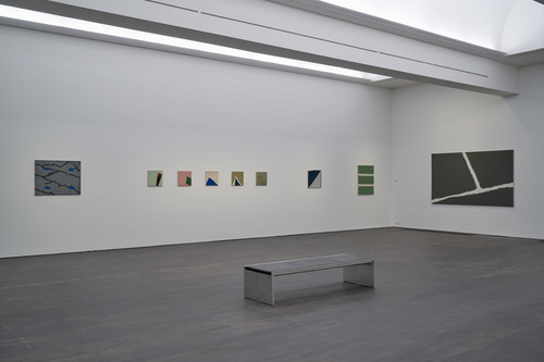Raoul De Keyser: Oeuvre - Installation view