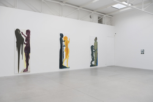 Double Takes - Installation view