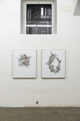 N. Dash - Installation view