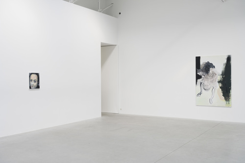 Double Takes - Installation view