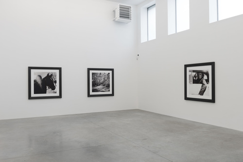 New Squares - Anton Corbijn - 