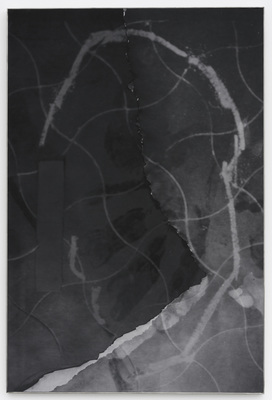 Dear deer , - Dirk Braeckman - Dear deer , Constant