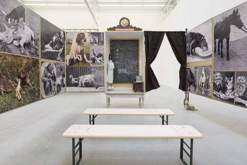 Les Loques de Chagrin - Installation view