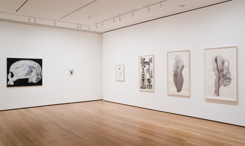 Measuring Your Own Grave - Installation view