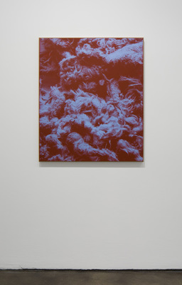 N. Dash - Installation view