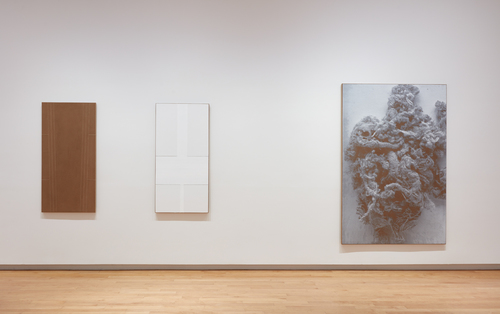 N. Dash - Installation view
