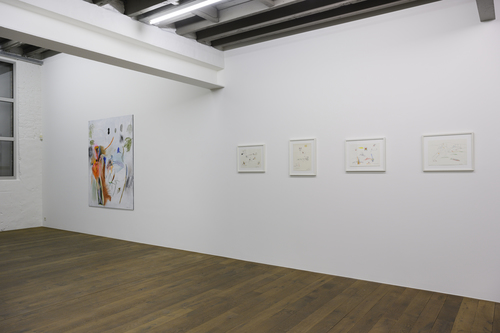 Placenta Saturnine Bercail - Installation view