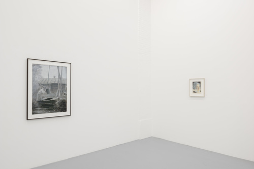 Domesticated - Jan De Maesschalck - 