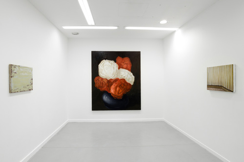 Pots, lapin, fenêtres, fleurs - Installation view