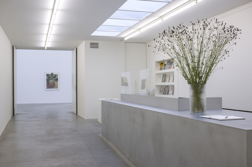 Wishing Well - Jockum Nordström - Installation view