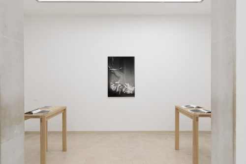 Dirk Braeckman - Installation view
